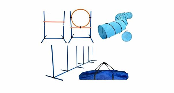 Pes pri agility